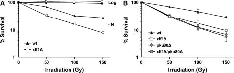 Figure 2.—