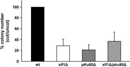 Figure 3.—