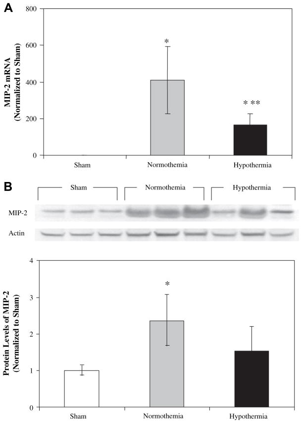 FIG. 8