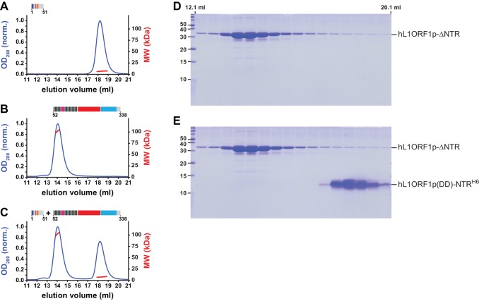 Figure 4—figure supplement 2.