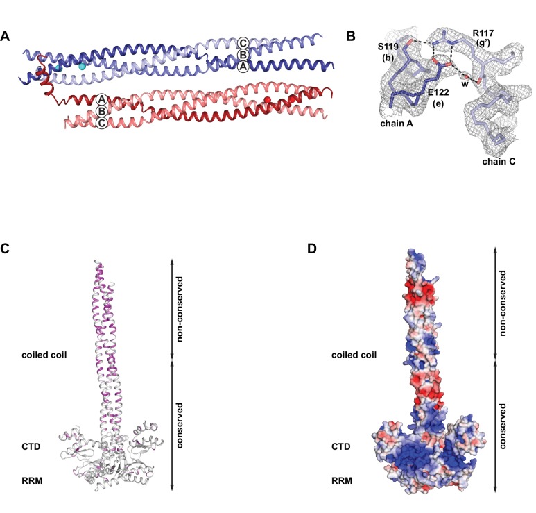 Figure 2—figure supplement 1.