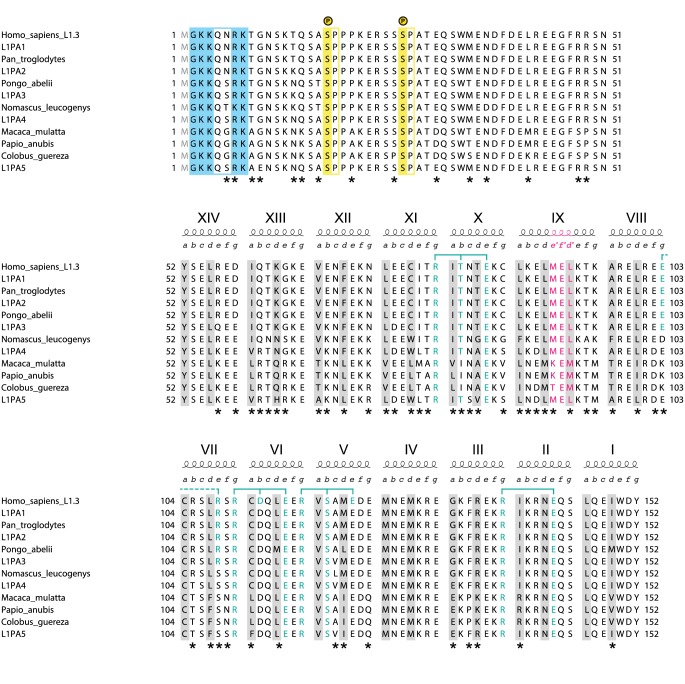 Figure 1—figure supplement 2.