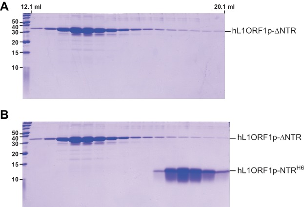 Figure 4—figure supplement 1.