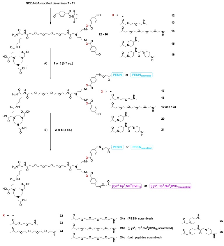 Scheme 1