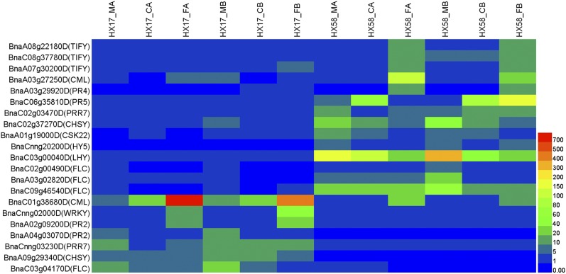 Figure 12