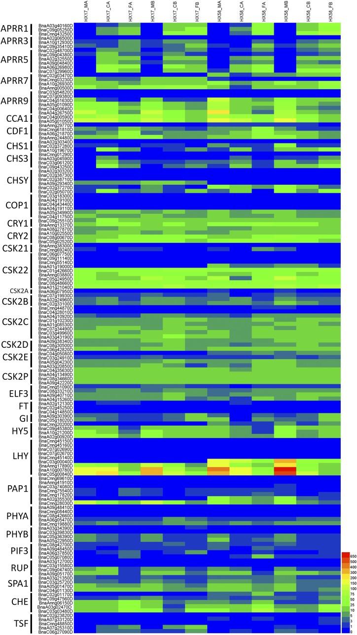 Figure 9