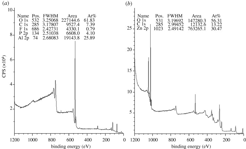 Figure 13.