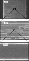 Figure 11.