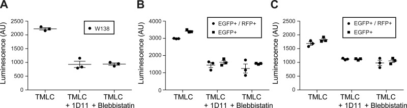 Fig. 8.