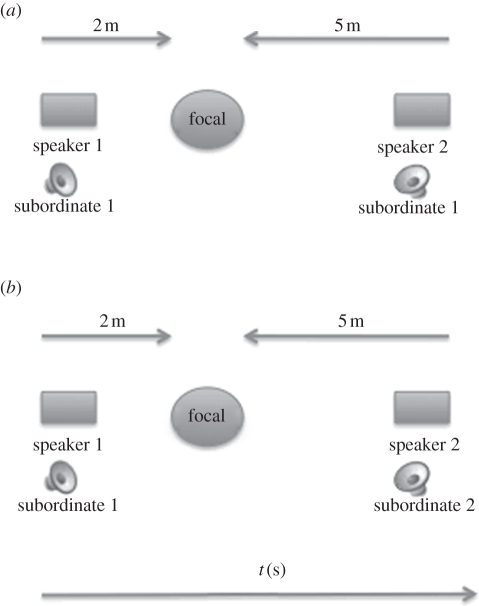 Figure 1.