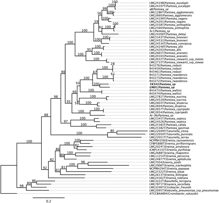 FIGURE 1