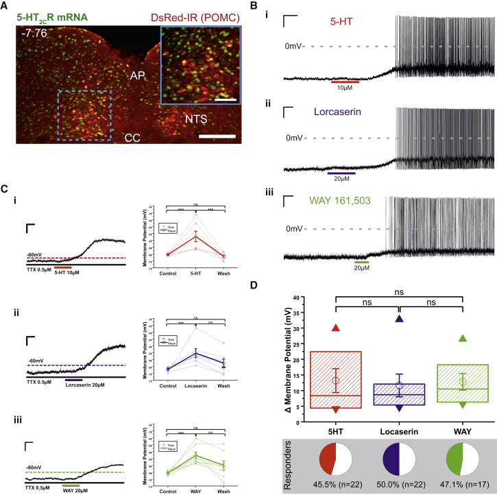 Figure 3