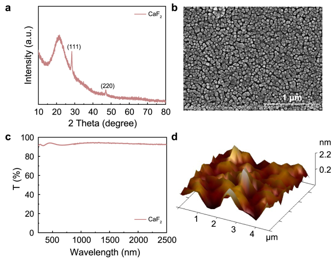 Fig. 1