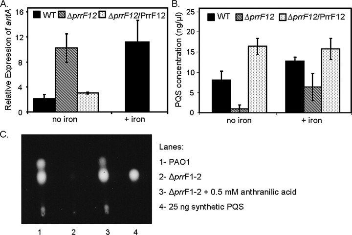 FIGURE 2.