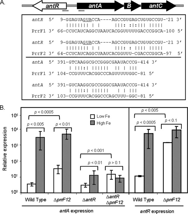 FIGURE 4.