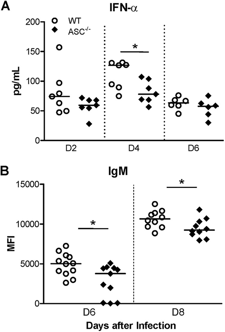 Fig 5