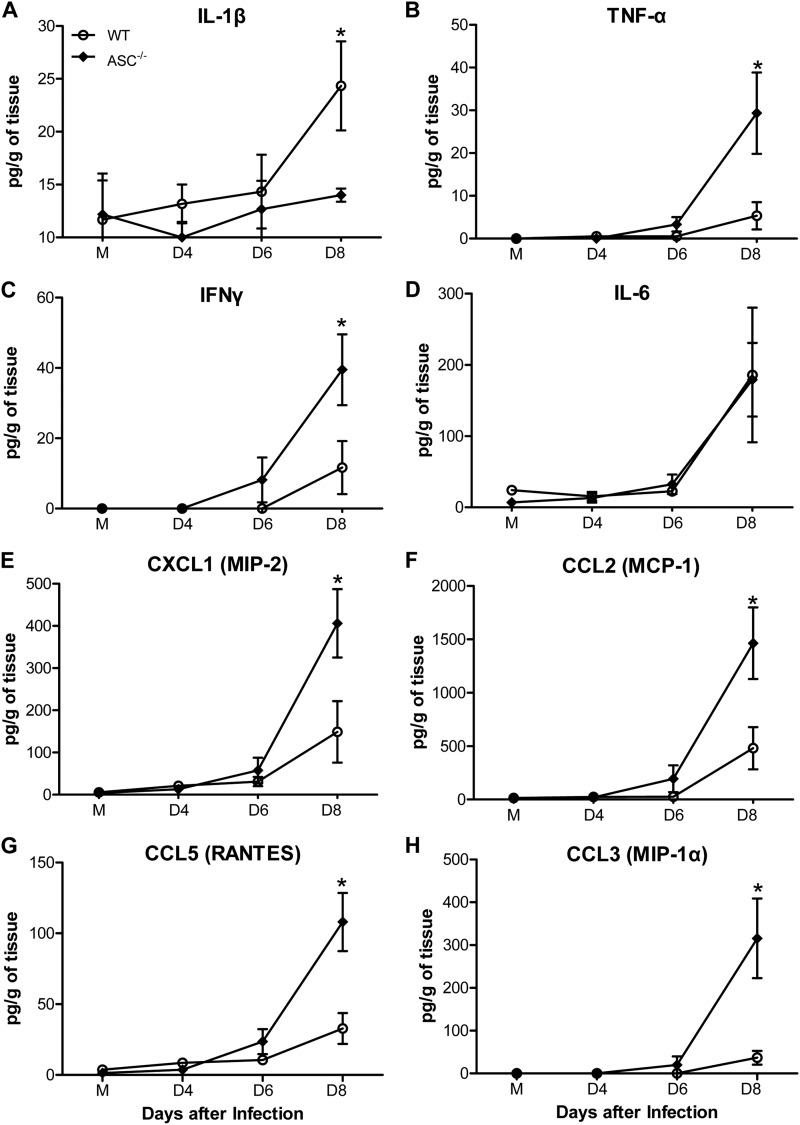 Fig 6