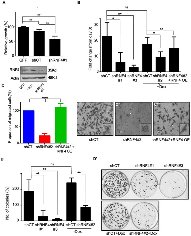 Figure 2: