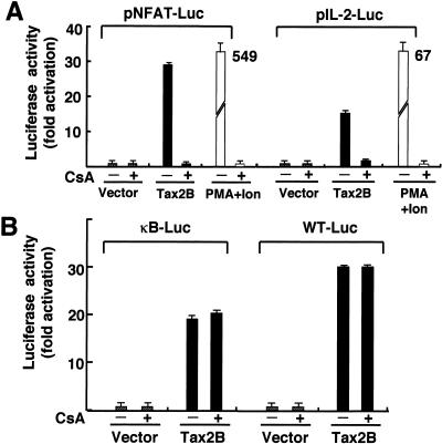 FIG. 6.