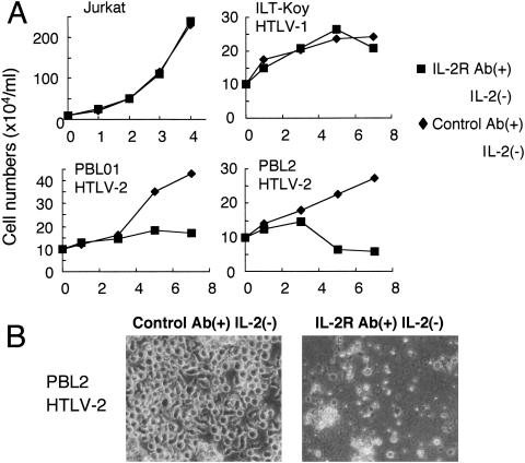 FIG. 9.