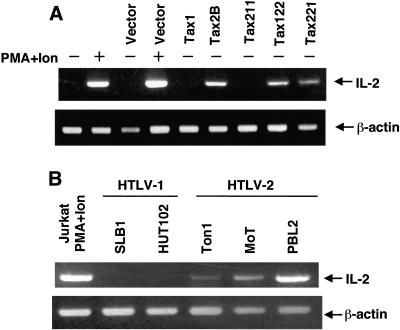 FIG. 3.