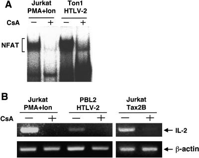 FIG. 7.