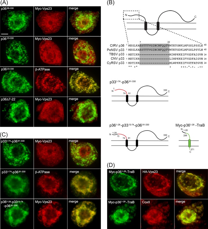 FIG 6