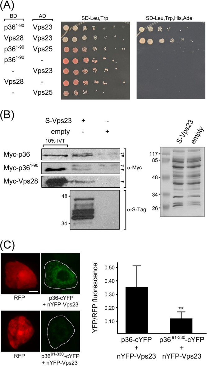 FIG 5