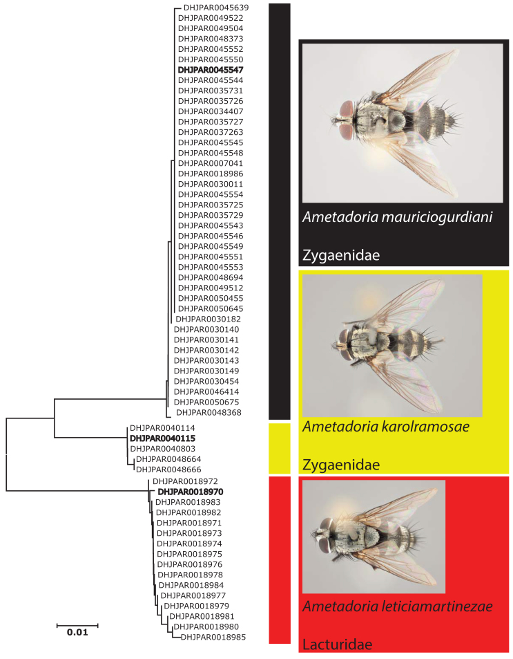 Figure 1.