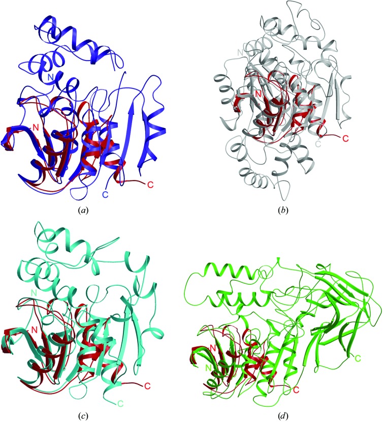 Figure 2