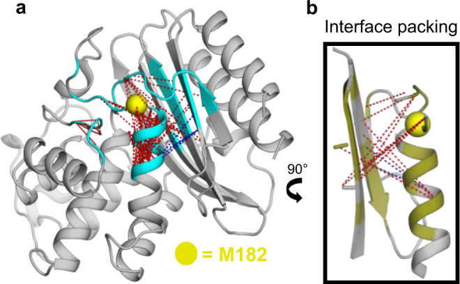 Fig. 6