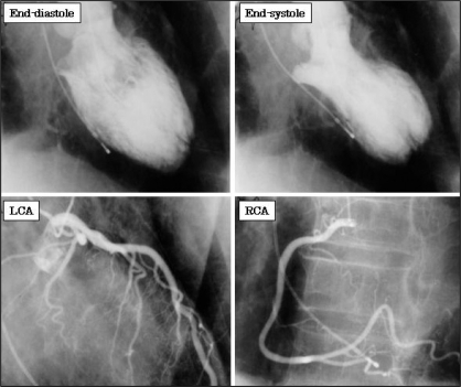 Figure 4)