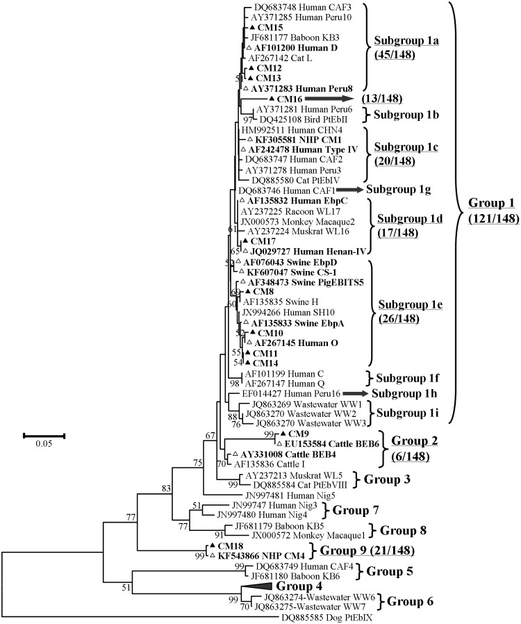 Fig 2