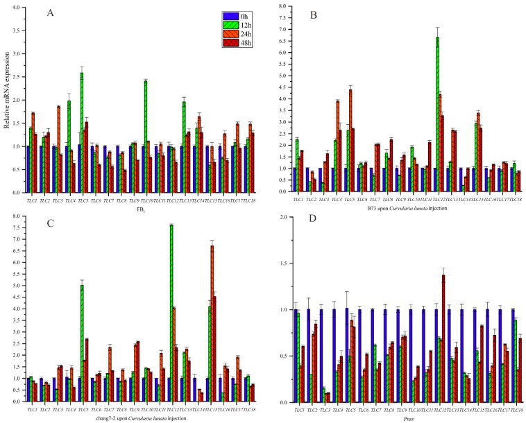 Figure 10