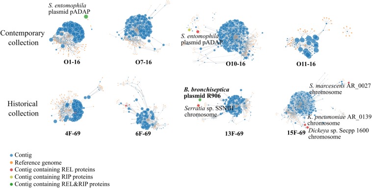 FIGURE 4