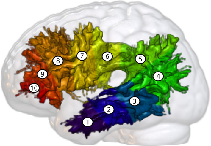 FIGURE 1