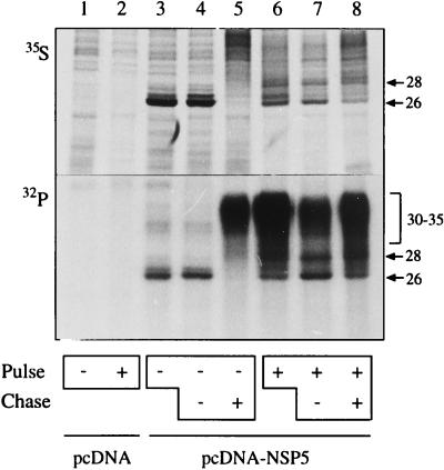 FIG. 5