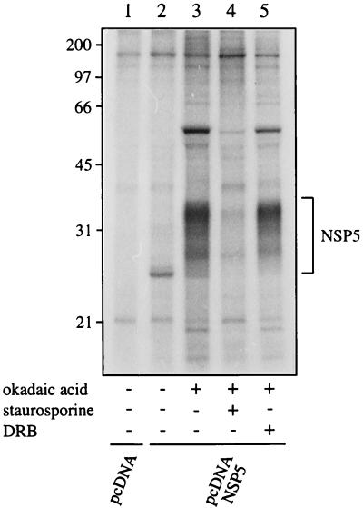 FIG. 6