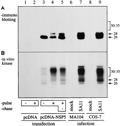 FIG. 7