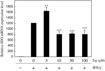 Fig. 6