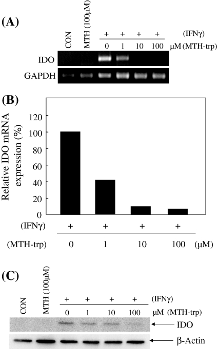 Fig. 5