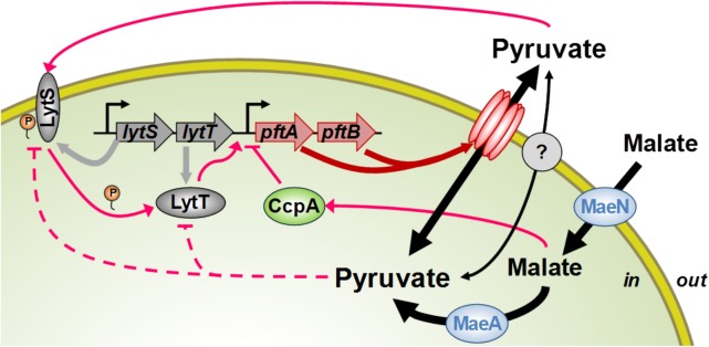 FIG 6 