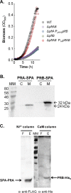FIG 1