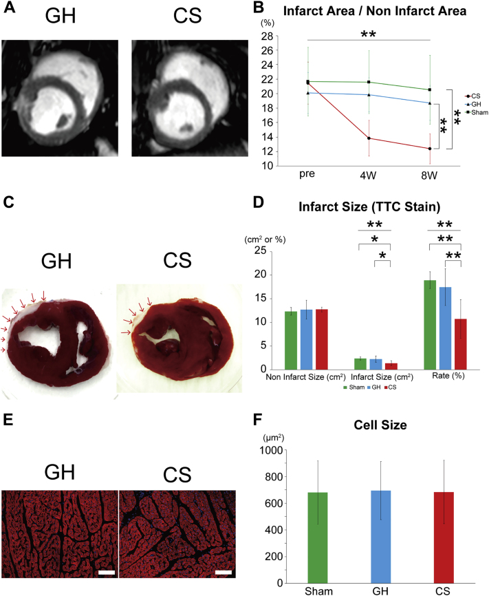 Figure 6