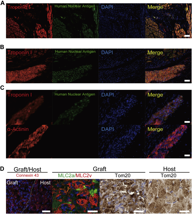 Figure 3