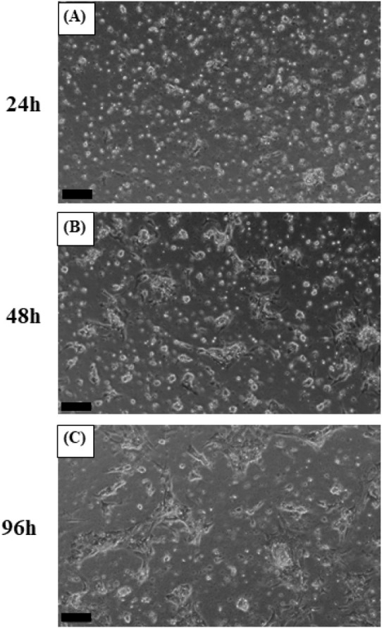 Fig. 2.