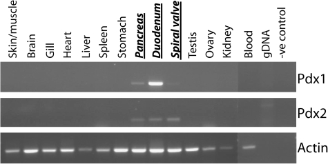 FIG. 5.