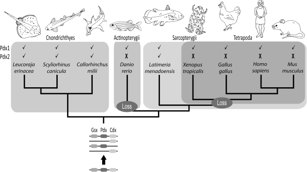 FIG. 4.