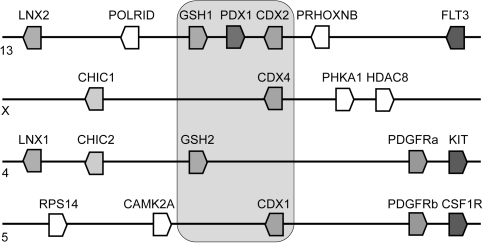 FIG. 1.