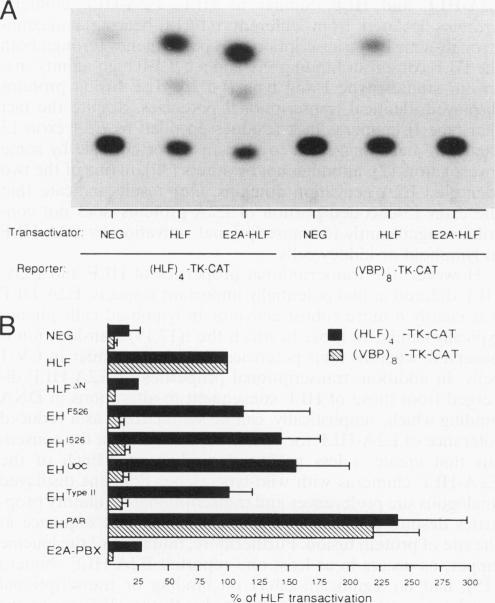 graphic file with name molcellb00009-0389-a.jpg